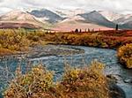 Denali National Park